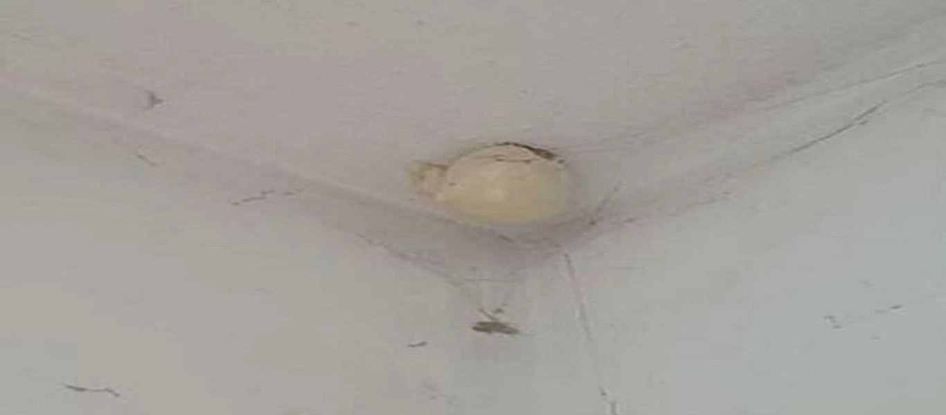 Γυναίκα βρήκε παράξενο αυγό δεινοσαύρου κολλημένο στο ταβάνι της (φώτο)